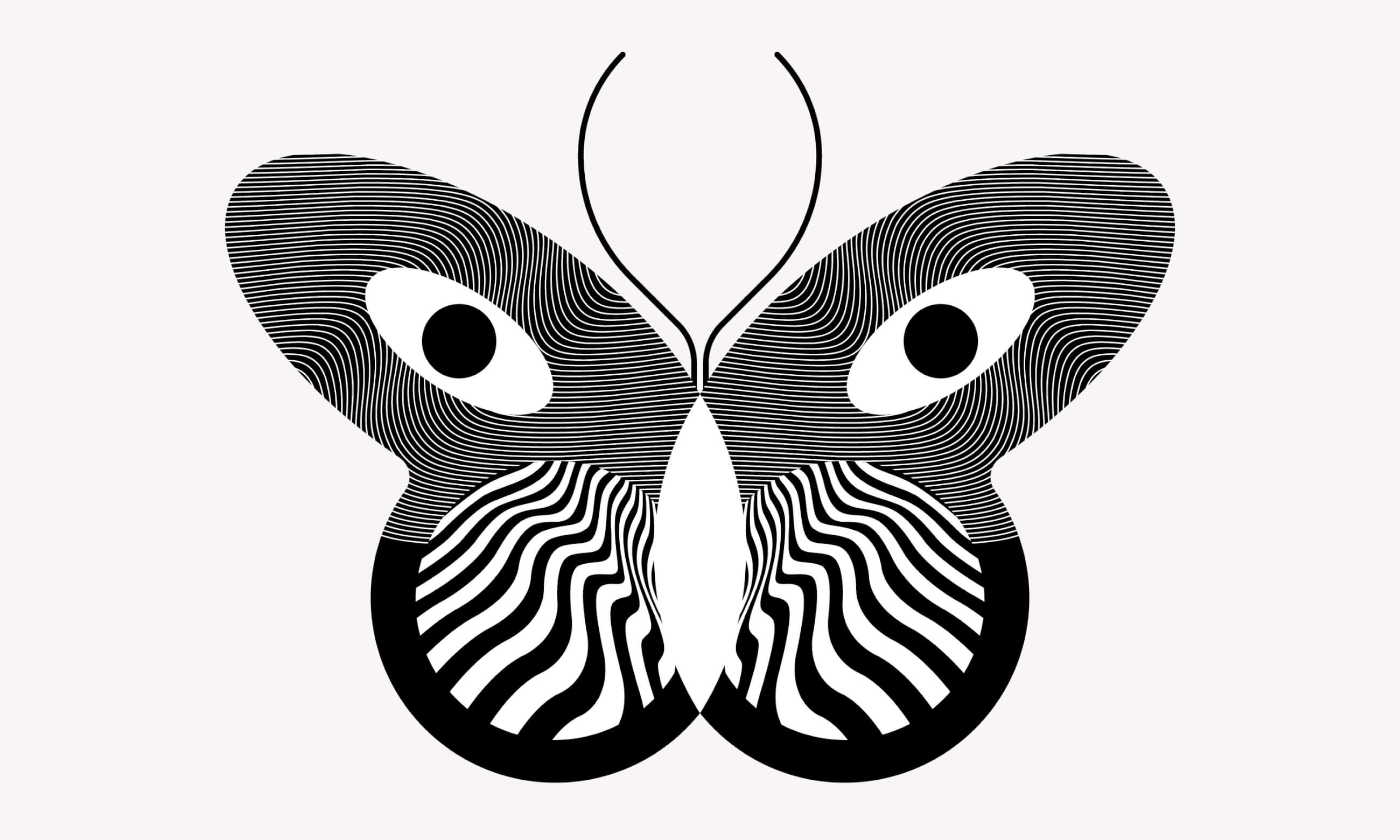 gander-thing-of-wonder-illusion-moth@2x